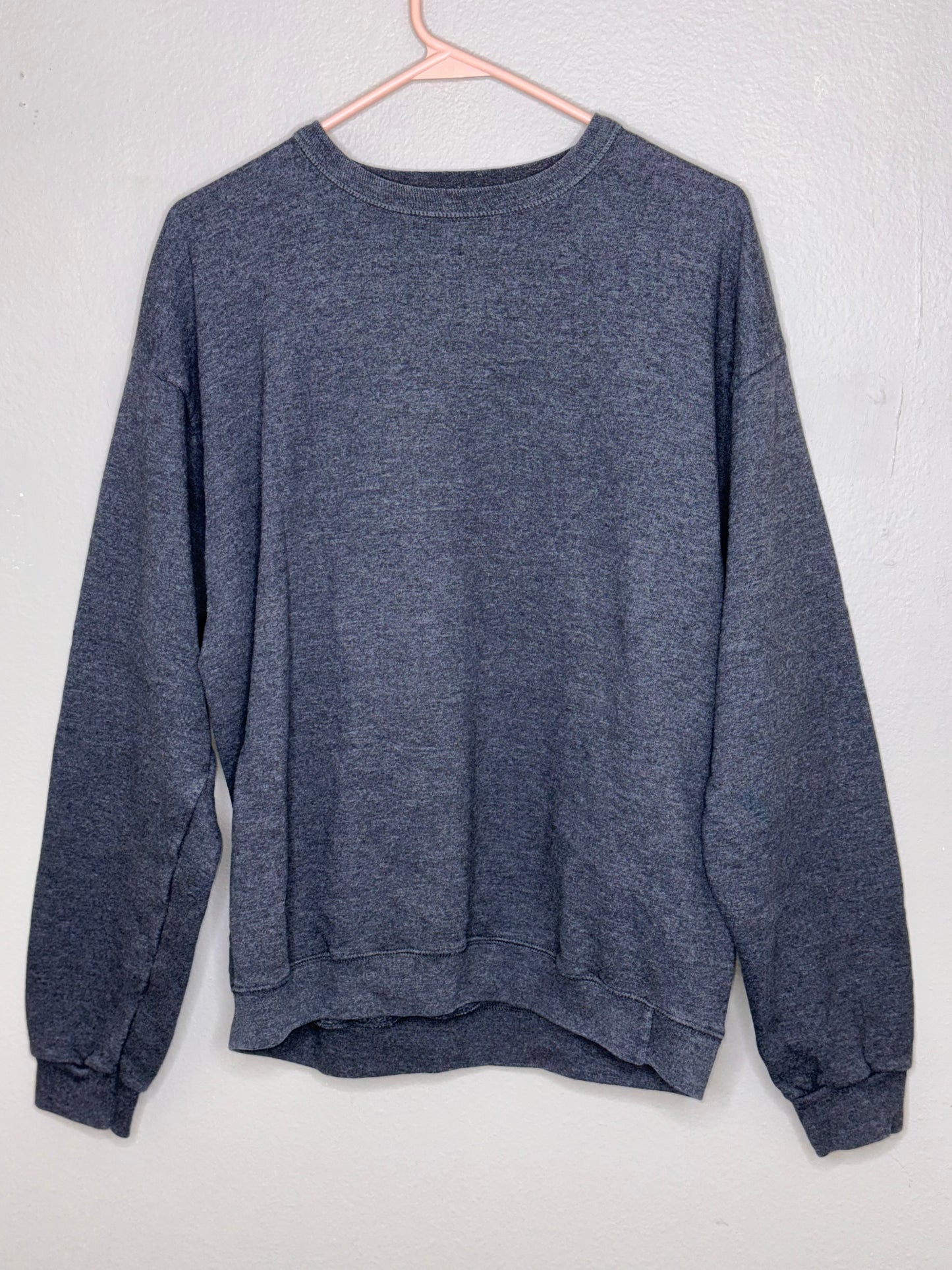 Hanes Gray Sweatshirt (M)