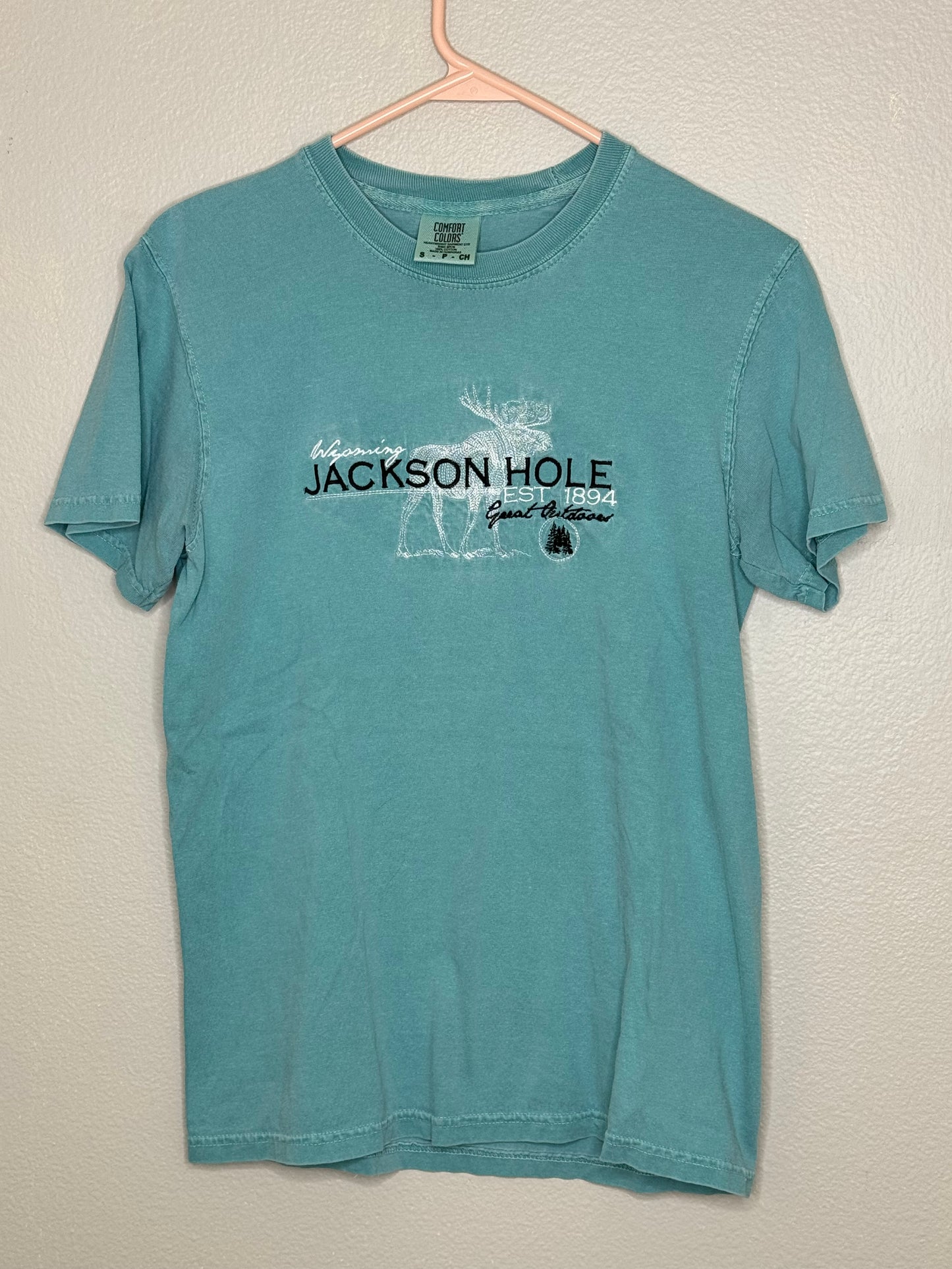 Comfort Colors Jackson Hole Tee (S)